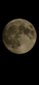 팜모닝 자유주제·자유게시판 게시글 이미지