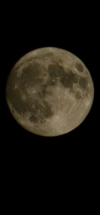 이동순님의 자유주제 · 자유게시판 작성글 사진