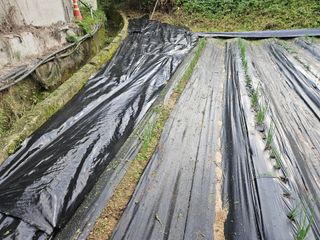 뿡뿡농장님의 자유주제 · 자유게시판 작성글 사진