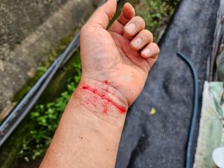 뿡뿡농장님의 자유주제 · 자유게시판 작성글 사진