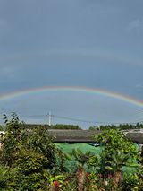 팜모닝 자유주제·사진전 게시글 이미지