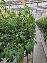 팜모닝 팜모닝·출석 게시글 이미지