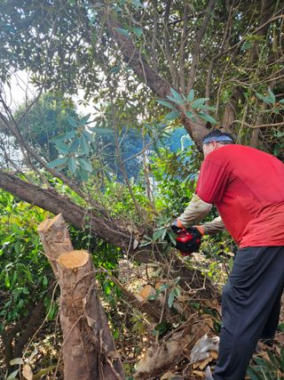 새달귤농장님의 귤 · 영농일지 작성글 사진