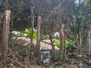 새달귤농장님의 귤 · 영농일지 작성글 사진