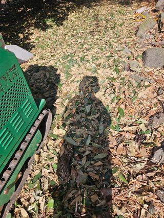 새달귤농장님의 귤 · 영농일지 작성글 사진