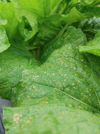 Windy1983님의 자유주제 · 자유게시판 작성글 사진