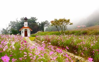 야 인님의 한가위, 덕담을 나눠주세요 · 참여글 작성글 사진