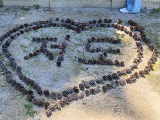 이정호님의 자유주제 · 자유게시판 작성글 사진