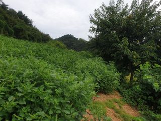 이종록님의 자유주제 · 자유게시판 작성글 사진