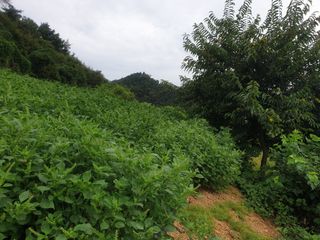 이종록님의 자유주제 · 자유게시판 작성글 사진