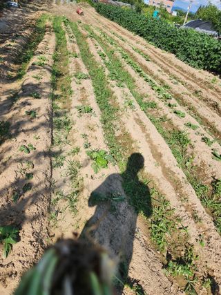 박정하님의 자유주제 · 자유게시판 작성글 사진