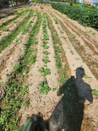 박정하님의 자유주제 · 자유게시판 작성글 사진