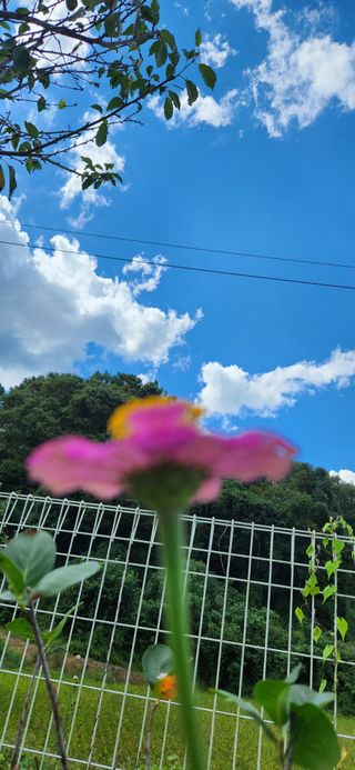 박희영님의 자유주제 · 자유게시판 작성글 사진