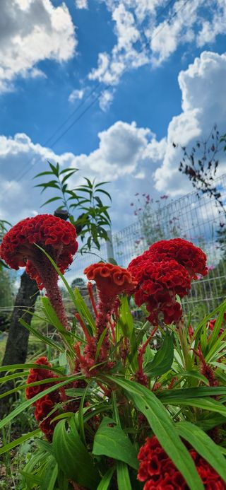 박희영님의 자유주제 · 자유게시판 작성글 사진