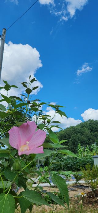 박희영님의 자유주제 · 자유게시판 작성글 사진