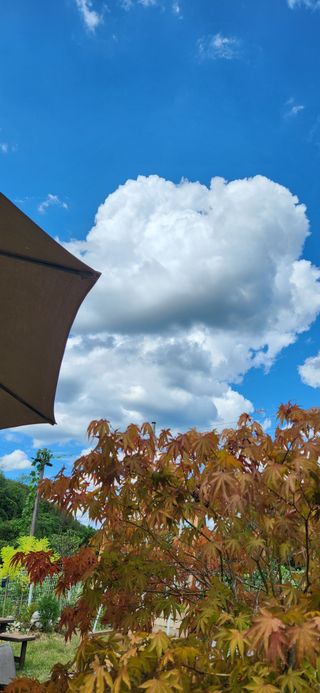 박희영님의 자유주제 · 자유게시판 작성글 사진