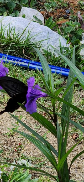 박희영님의 자유주제 · 자유게시판 작성글 사진