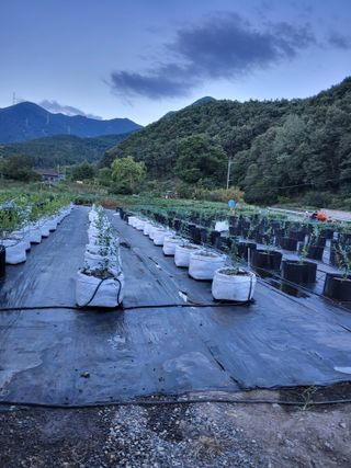 김경자님의 자유주제 · 사진전 작성글 사진