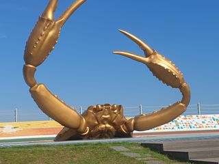 허굴산농장님의 자유주제 · 자유게시판 작성글 사진