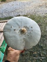 팜모닝 자유주제·자유게시판 게시글 이미지