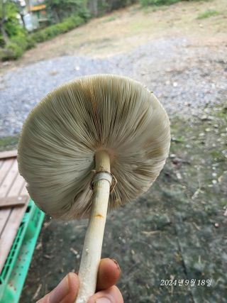 샤이니님의 자유주제 · 자유게시판 작성글 사진