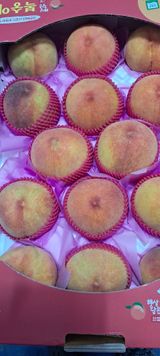 팜모닝 자유주제·자유게시판 게시글 이미지