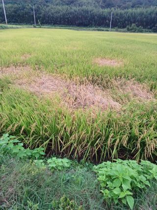 최일녕님의 자유주제 · 자유게시판 작성글 사진