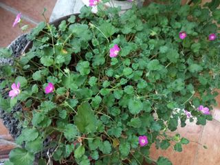 손종철님의 자유주제 · 자유게시판 작성글 사진