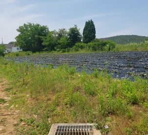 경규홍님의 팜모닝 · 출석 작성글 사진