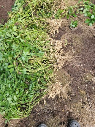 땅땅님의 기타작물 · 자유게시판 작성글 사진