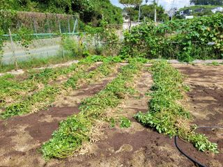 땅땅님의 기타작물 · 자유게시판 작성글 사진