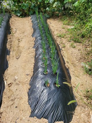 땅땅님의 기타작물 · 자유게시판 작성글 사진