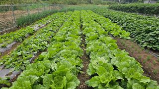 Beautiful님의 자유주제 · 자유게시판 작성글 사진