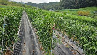 Beautiful님의 자유주제 · 자유게시판 작성글 사진