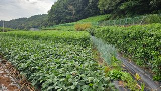 Beautiful님의 자유주제 · 자유게시판 작성글 사진