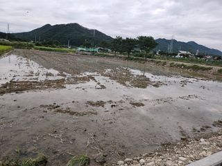 윤재하님의 벼 · 영농일지 작성글 사진