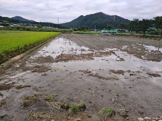 윤재하님의 벼 · 영농일지 작성글 사진