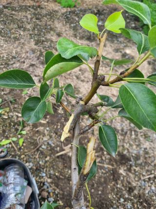 김용대님의 자유주제 · 자유게시판 작성글 사진