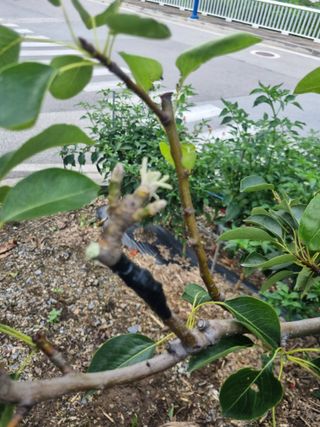 김용대님의 자유주제 · 자유게시판 작성글 사진