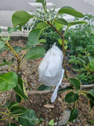 김용대님의 자유주제 · 자유게시판 작성글 사진