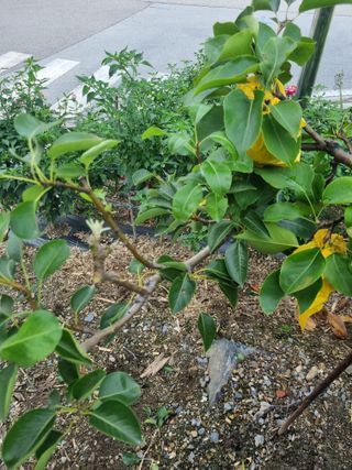 김용대님의 자유주제 · 자유게시판 작성글 사진