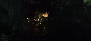 고풍마님님의 기타작물 · 영농일지 작성글 사진