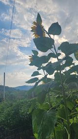 팜모닝 자유주제·자유게시판 게시글 이미지