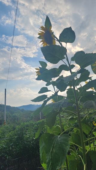 이종열님의 자유주제 · 자유게시판 작성글 사진