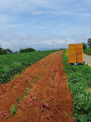 산이뜰(김정우)님의 팜모닝 · 출석 작성글 사진