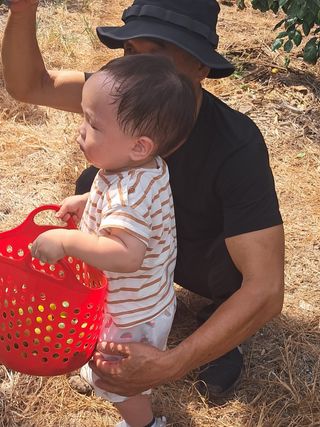 문윤자님의 귤 · 영농일지 작성글 사진