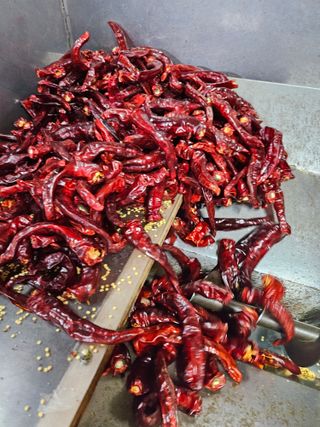 도초보룡호님의 고추 · 영농일지 작성글 사진