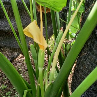 박철용 님의 자유주제 · 자유게시판 작성글 사진