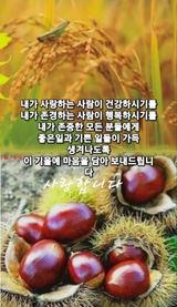 팜모닝 한가위, 덕담을 나눠주세요·참여글 게시글 이미지
