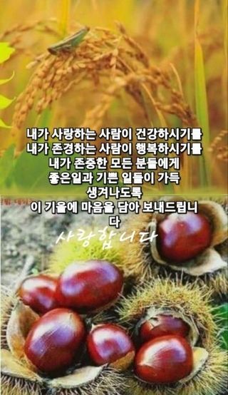 Kbd1961님의 한가위, 덕담을 나눠주세요 · 참여글 작성글 사진